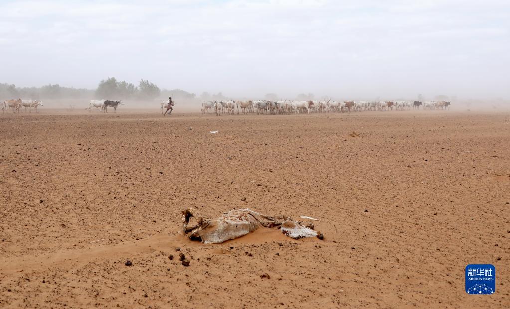严重干旱影响非洲之角