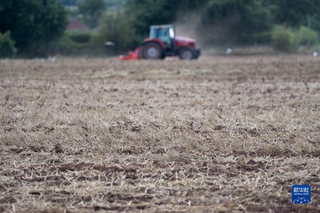 英国：干旱的农田