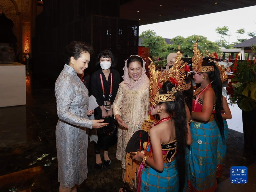 彭丽媛会见印度尼西亚总统夫人伊莉亚娜