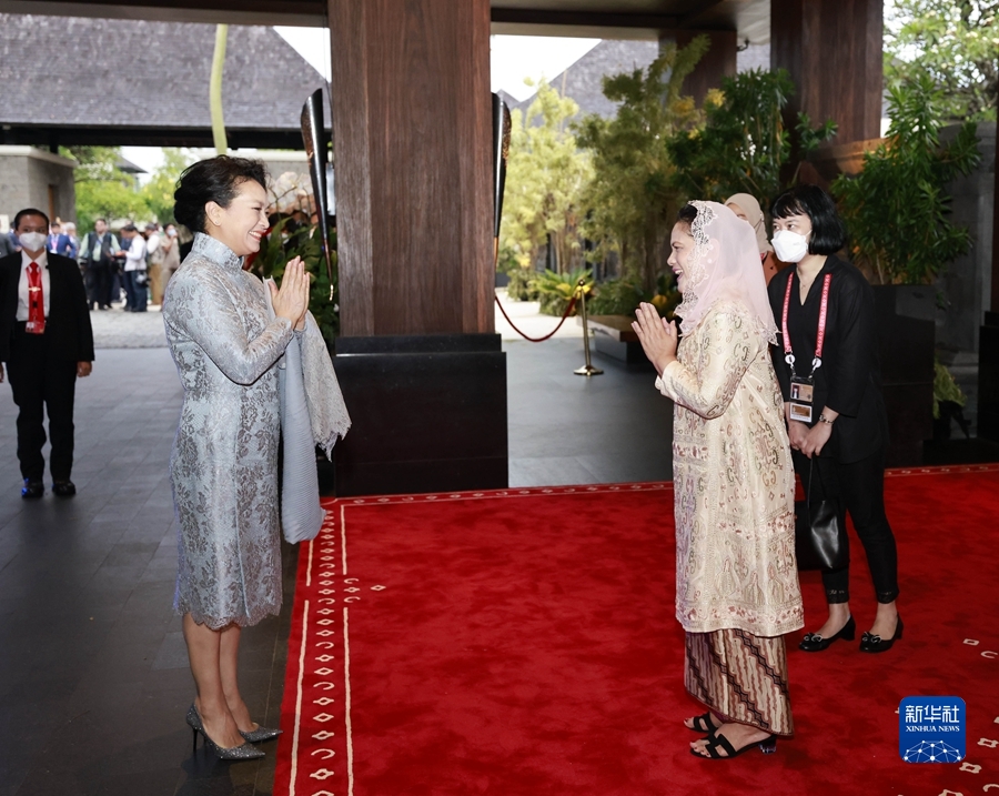 彭丽媛会见印度尼西亚总统夫人伊莉亚娜