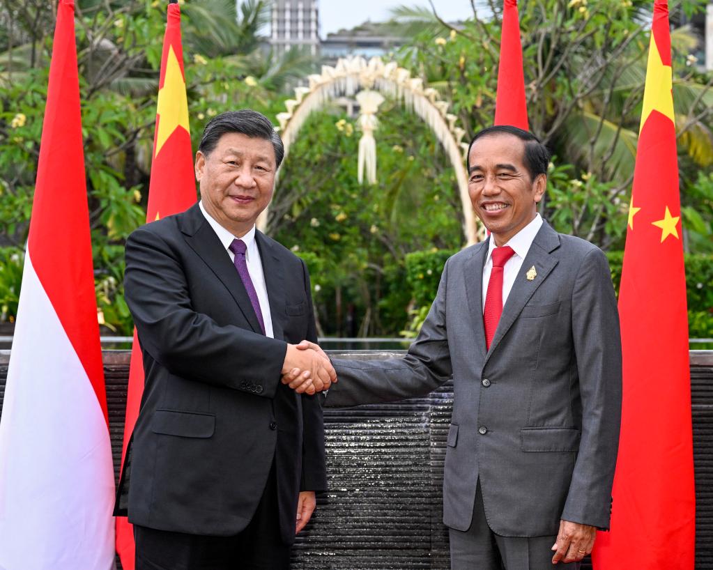高清大图丨元首外交为中印尼关系发展把舵引航