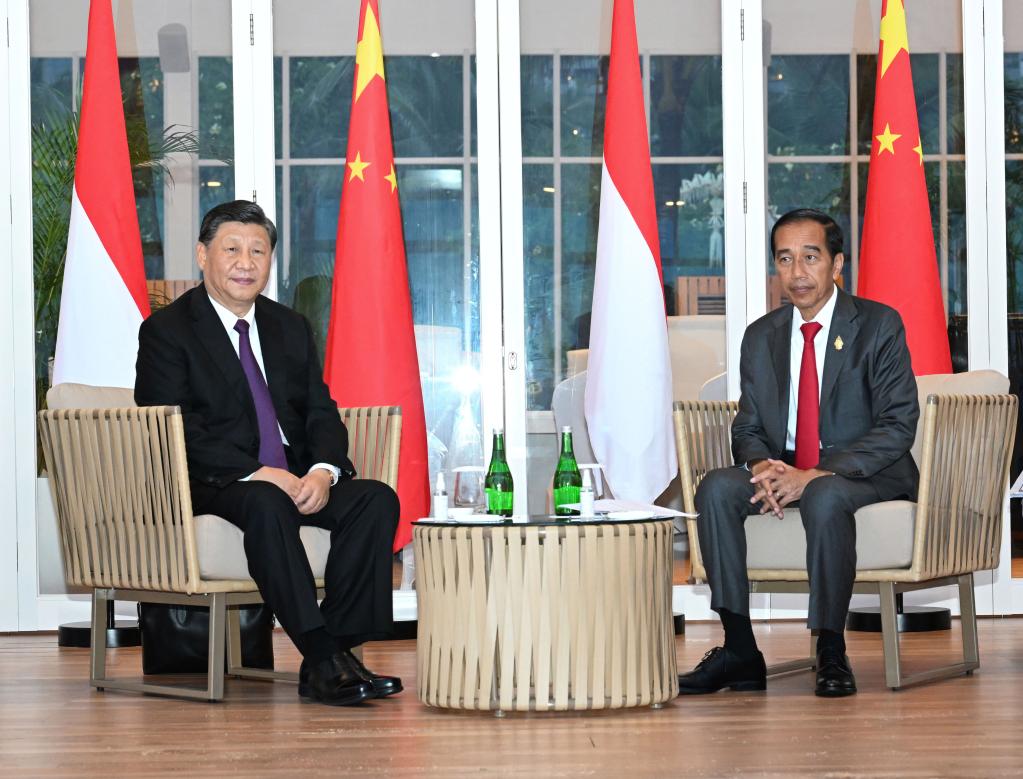 高清大图丨元首外交为中印尼关系发展把舵引航