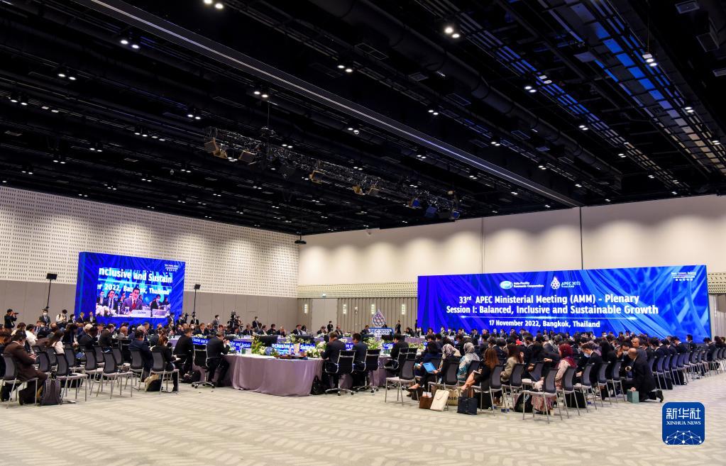 亚太经合组织第三十三届部长级会议聚焦可持续和包容性复苏