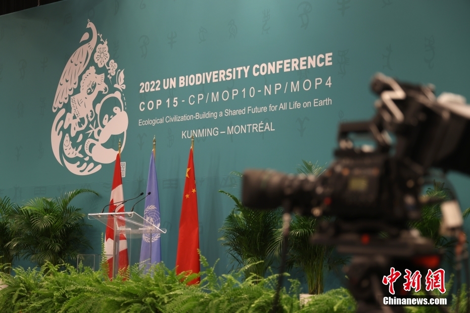 COP15开幕在即 全体会议会场基本布置妥当