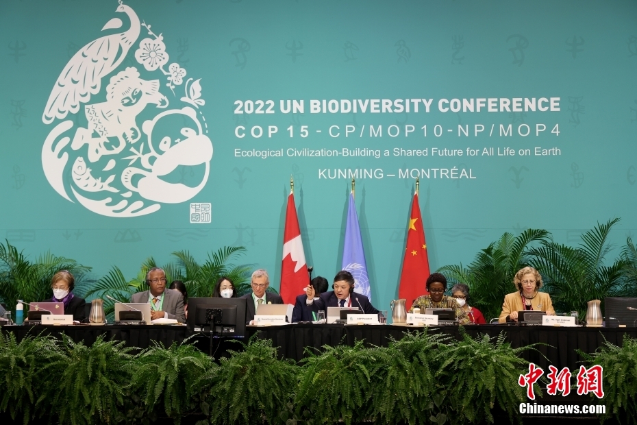 COP15第二阶段会议举行最后一场全体大会