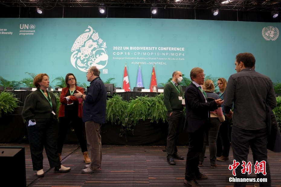 COP15第二阶段会议举行最后一场全体大会