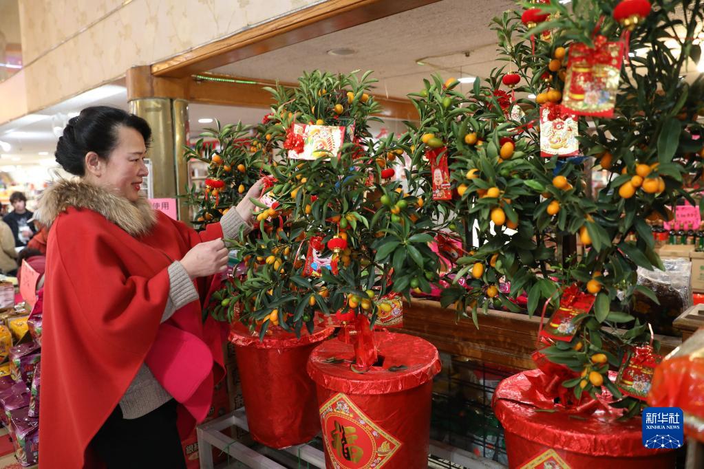共庆中国年