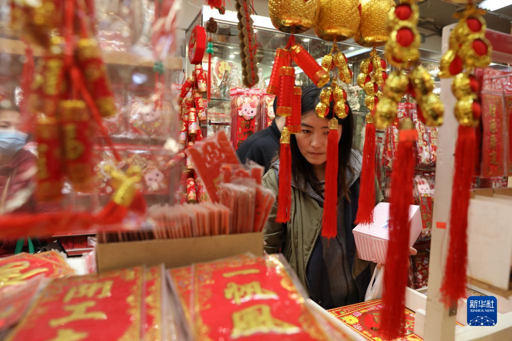 共庆中国年