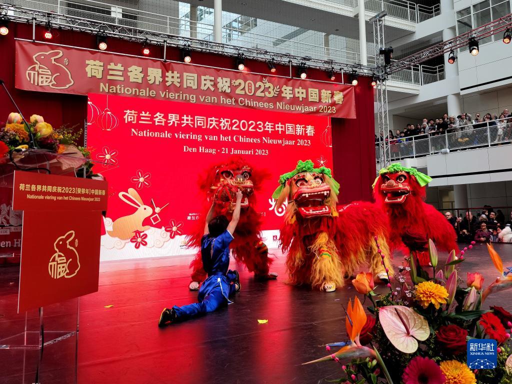 通讯：荷兰海牙年味浓