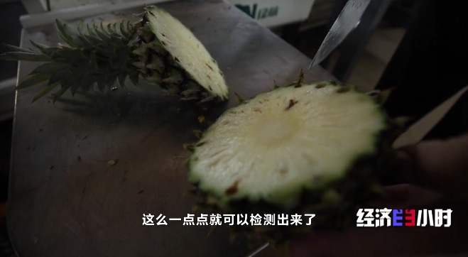 RCEP市场迎来“中国菠萝”！年产值飙升至25亿元，徐闻菠萝解锁“销售密码”