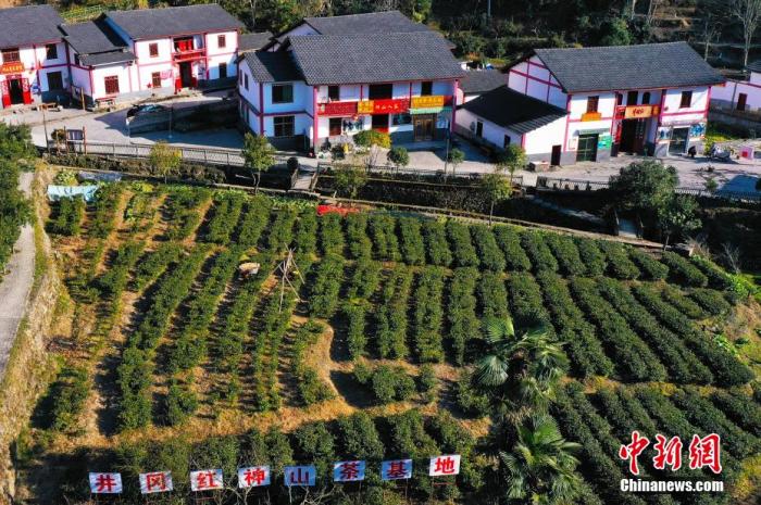 巴基斯坦学者：我是中国发展道路的追随者丨两会·世界观