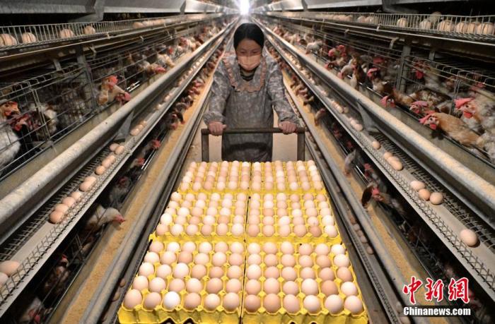 美国学者：中国创造奇迹 一些国家“害怕中国更成功”