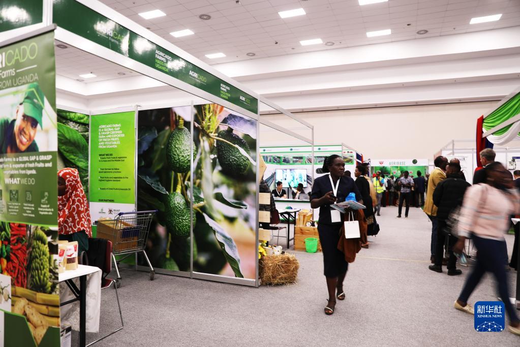 第二届国际非洲牛油果大会在肯尼亚内罗毕举行