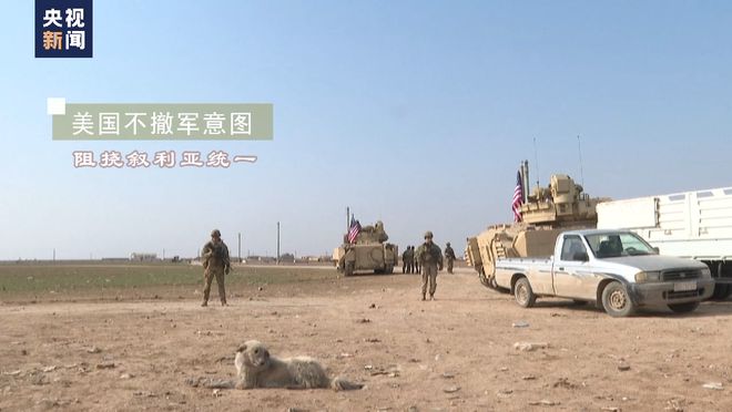 美国持续介入叙利亚危机 造成深重人道主义灾难