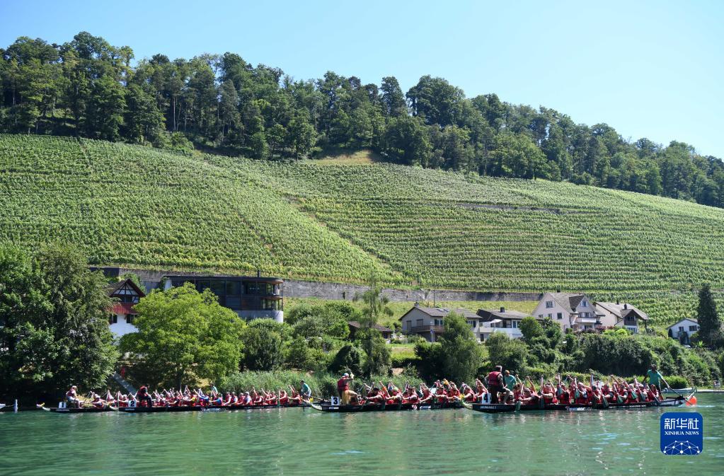 瑞士：莱茵河上赛龙舟