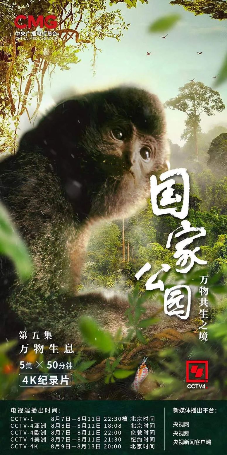 和最好的“合租室友”,共赴一场“爱的约定”