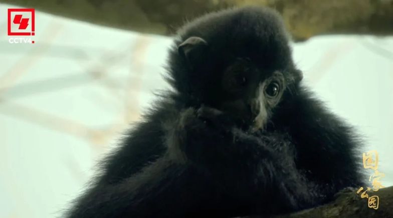 和最好的“合租室友”,共赴一场“爱的约定”