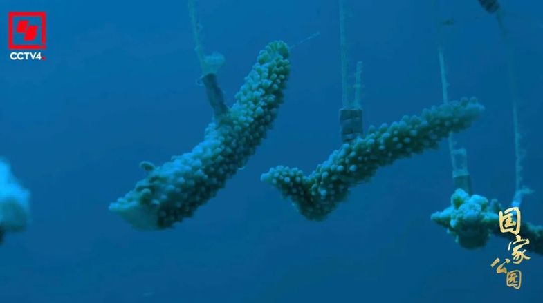 和最好的“合租室友”,共赴一场“爱的约定”