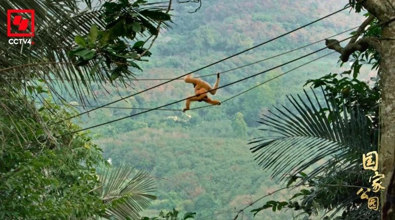 和最好的“合租室友”,共赴一场“爱的约定”