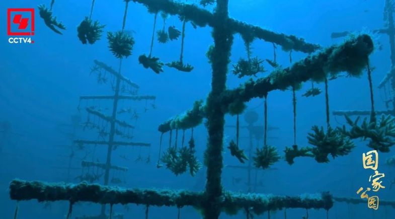 和最好的“合租室友”,共赴一场“爱的约定”