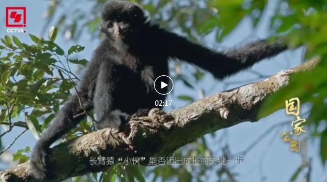 和最好的“合租室友”，共赴一场“爱的约定”