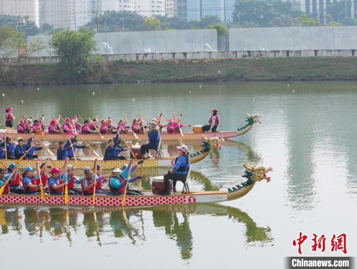 巴西“中国移民日”：龙舟竞渡激荡中巴交流活力