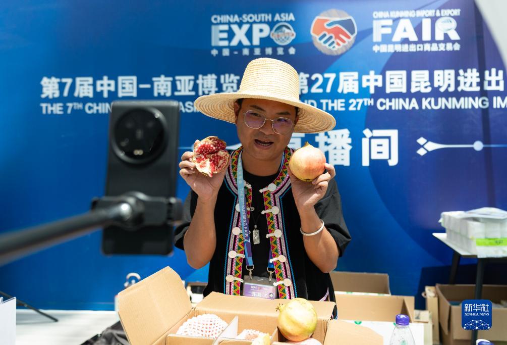 第七届中国—南亚博览会在昆明开幕