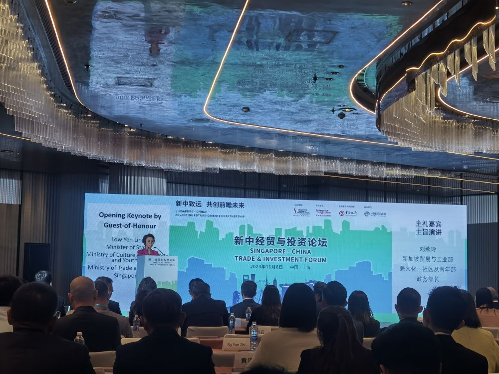 第六届进博会|新加坡鼓励企业充分利用进博会平台进一步进入中国市场