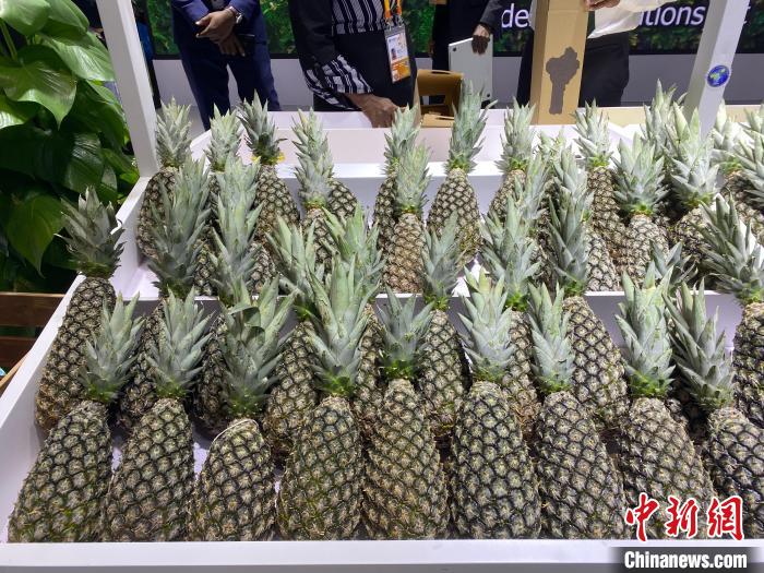 (第六届进博会)寻“味”进博会:全球美食飞入中国寻常百姓家 (第六届进博会)寻“味”进博会:全球美食飞入中国寻常百姓家