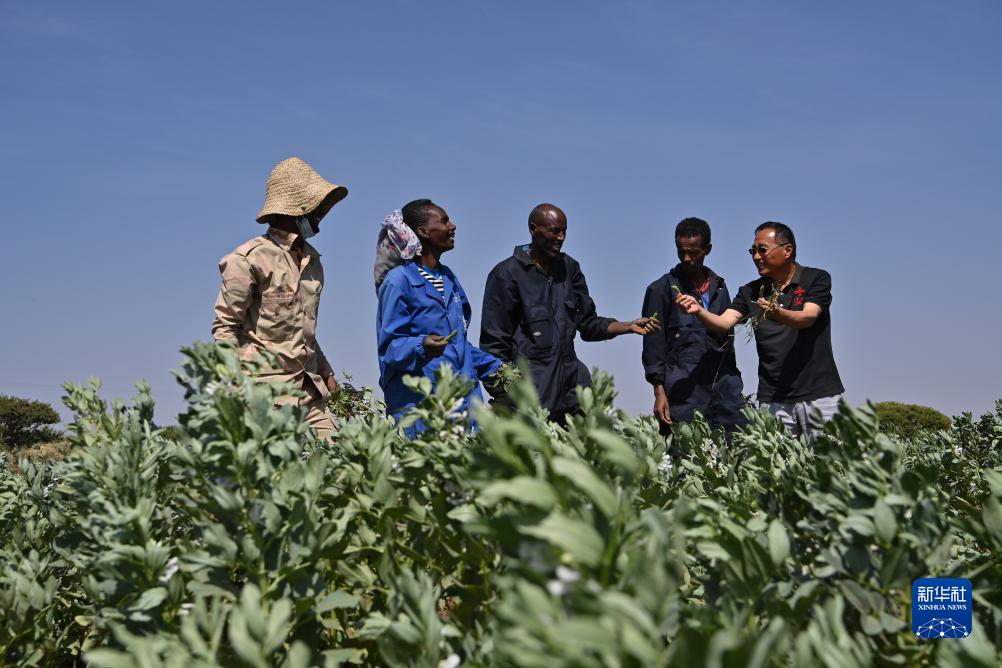 中非农业合作结出累累硕果