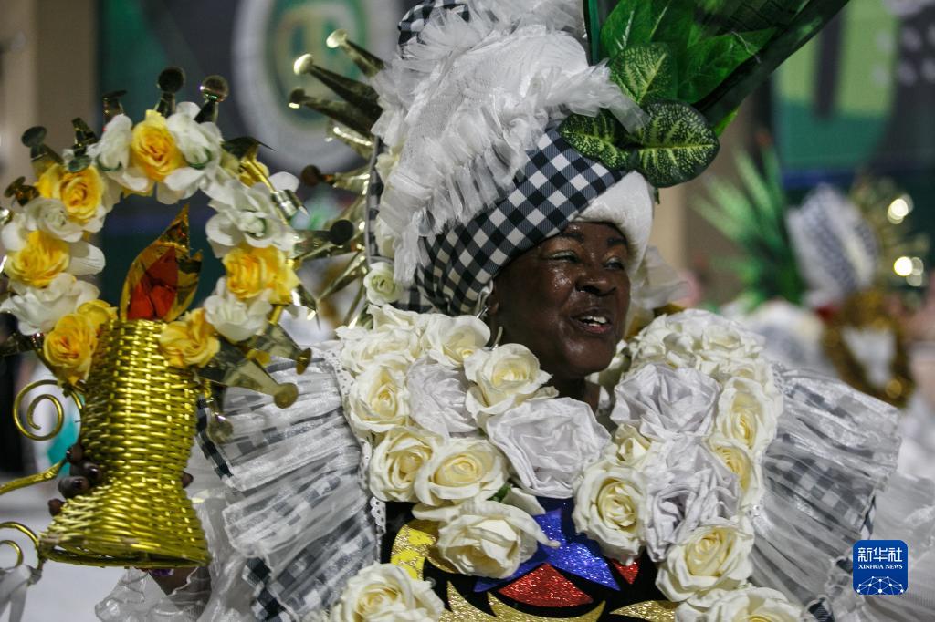 巴西里约热内卢：庆祝国家桑巴日