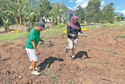 人民日报年终专稿：铺设促进全球发展的“快车道”
