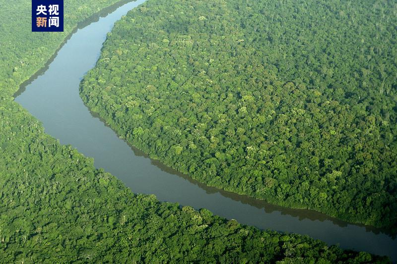 探秘苏里南丨这个“森系”南美国家的“中国缘”