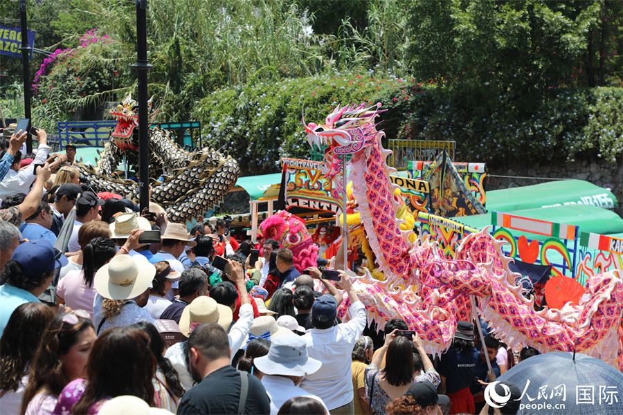 “龙舟竞渡庆端午，万水千山‘粽’是情”——墨西哥中国文化中心举办端午节纪念活动