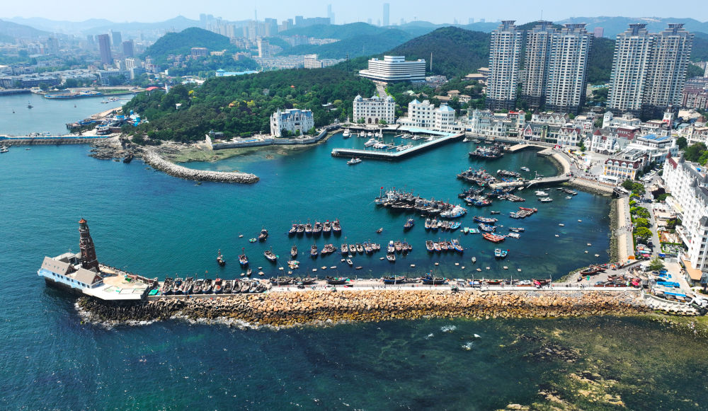 镜头连中外·第54辑 | 夏日海滨邂逅冰雪小镇 达沃斯唱响中国音 镜头连中外·第54辑 | 夏日海滨邂逅冰雪小镇 达沃斯唱响中国音