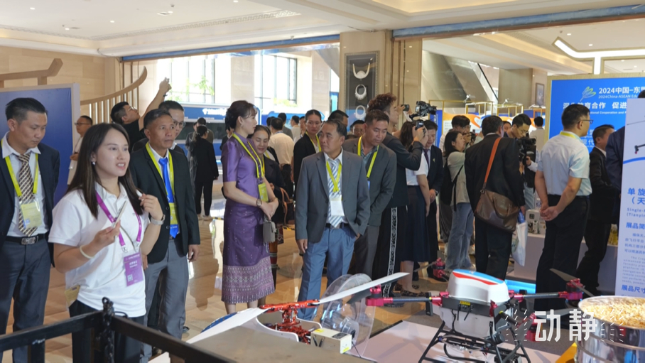 展示成果分享经验,中国—东盟教育交流周深化合作共创未来!