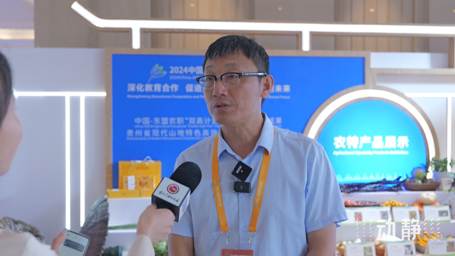 展示成果分享经验,中国—东盟教育交流周深化合作共创未来!