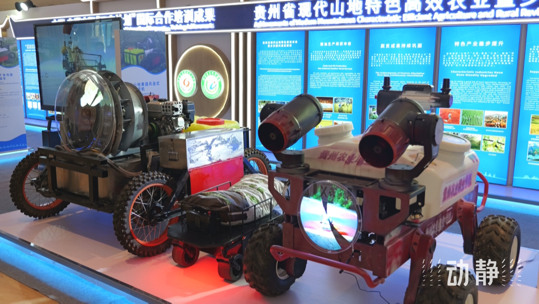 展示成果分享经验,中国—东盟教育交流周深化合作共创未来!