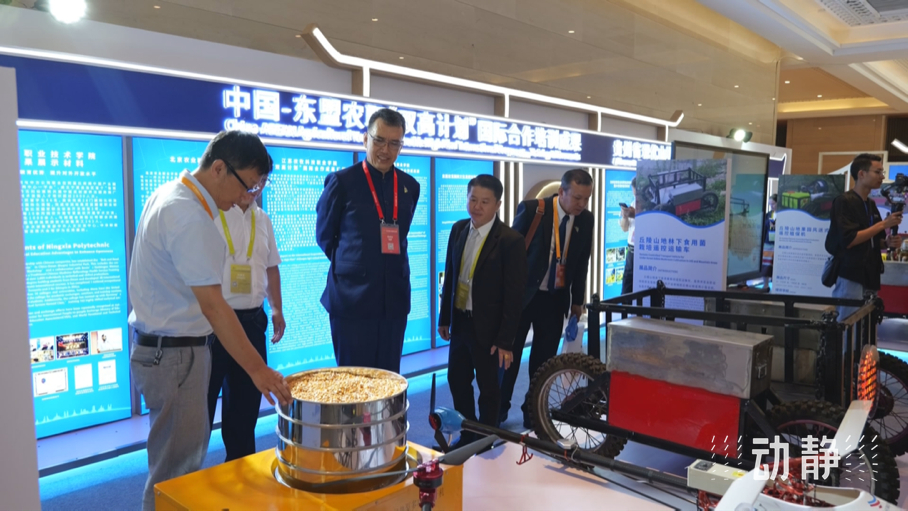 展示成果分享经验,中国—东盟教育交流周深化合作共创未来!