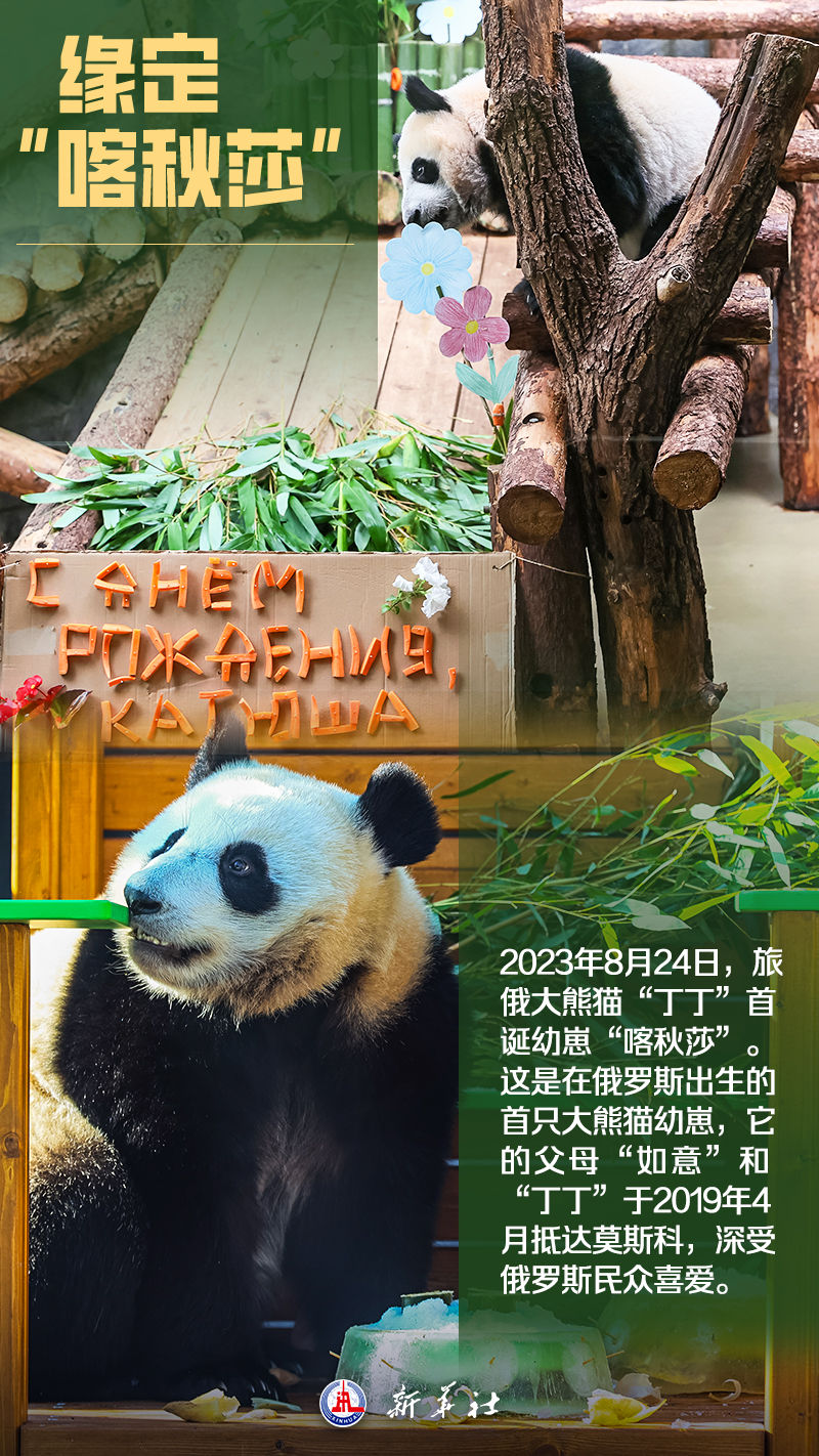 海报 | 你好，俄罗斯