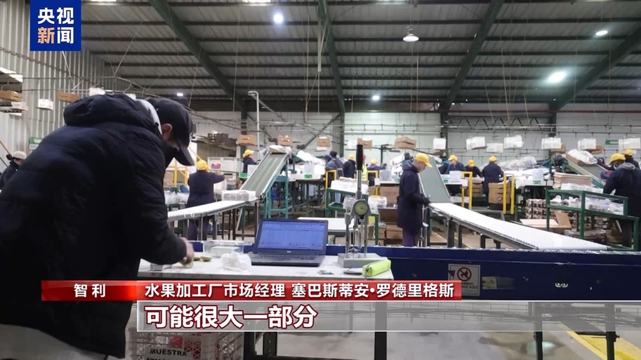 总台记者探访丨应季的水果棘手的关税 智利水果产业“愁”