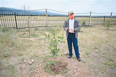 “我们是互相挂念的老朋友”（共建文明百花园）