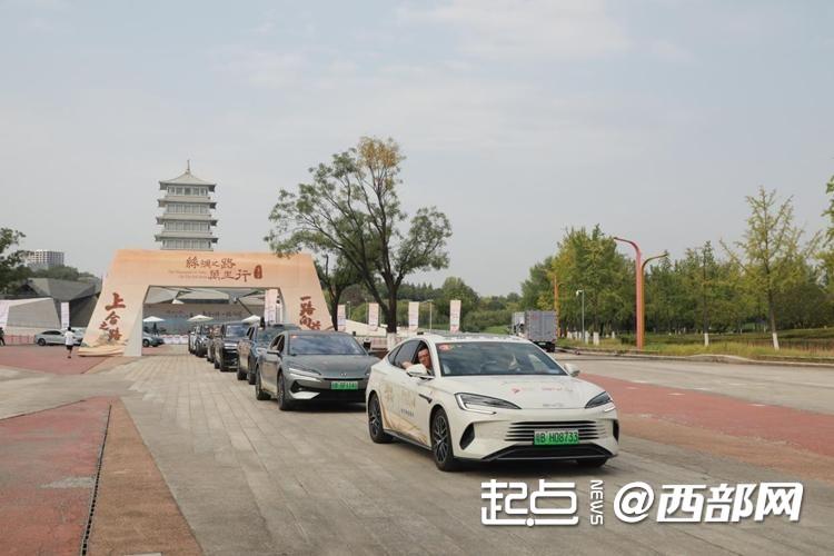 春节回老家带上宠物不容易 专家：寻找客运服务和宠物运载需求平衡点