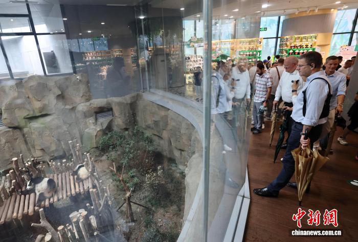 （成都世运会）多国驻华使节盼世运会传递友谊与欢乐