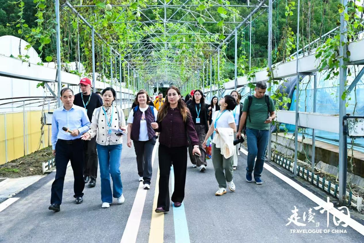产业联盟激活共富密码 “走读中国”欧亚记者团聚焦中国乡村振兴实践