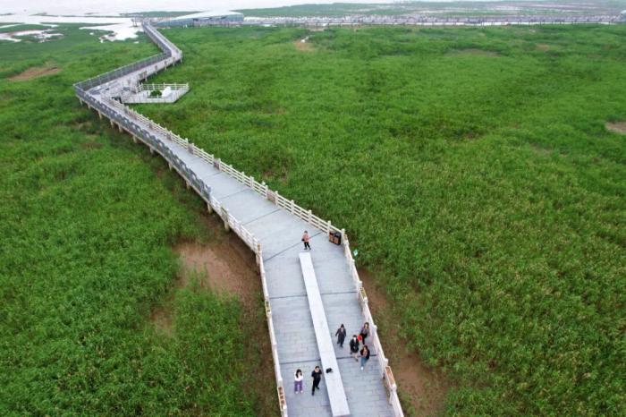 为何中国学研究离不开跨文化对话？
