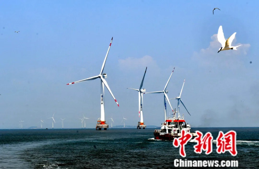 东西问·中国学丨英国作家马丁内斯：中国生态文明建设何以成果丰硕？