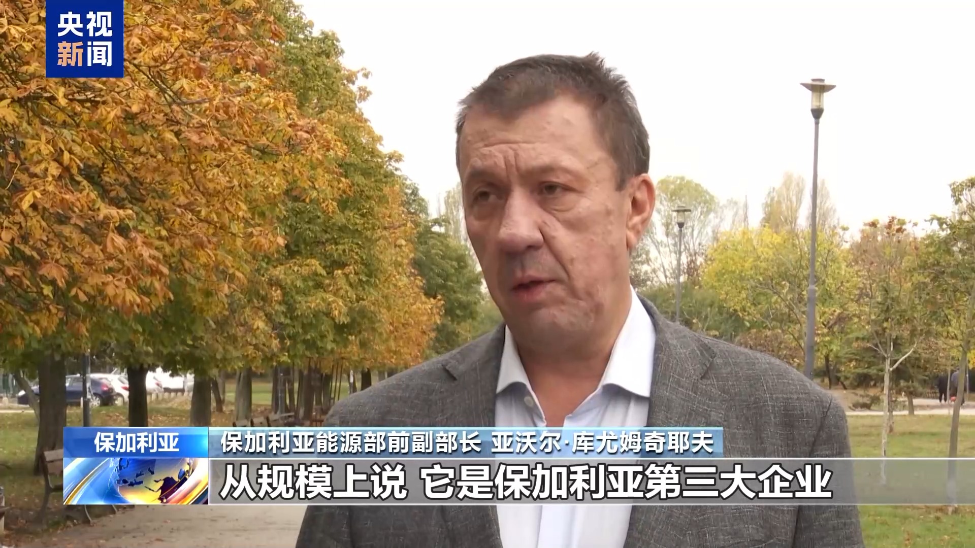 美制裁俄石油公司引发保加利亚各界担忧