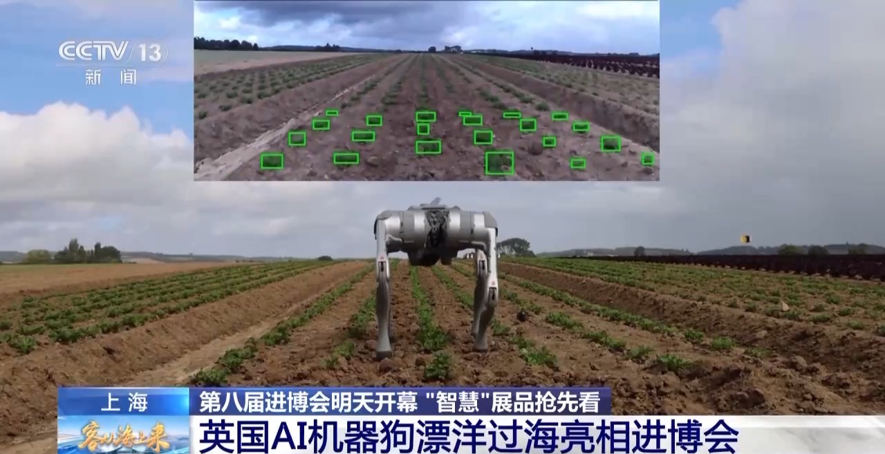 总台记者提前探馆 进博会智慧展品抢先看
