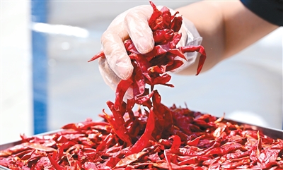 “从手提箱到集装箱，订单规模一路涨”（进博连线）——一位非洲大使眼中的“进博机遇”